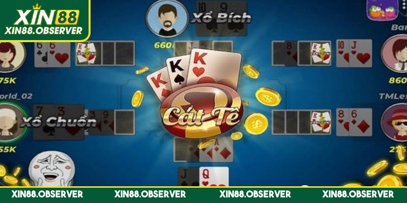 Catte có xuất xứ từ Ấn Độ và du nhập vào Việt Nam từ rất lâu