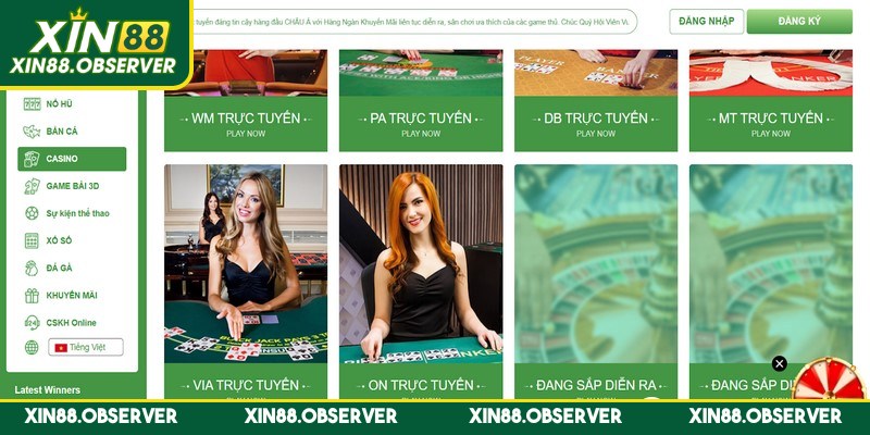 Rồng Hổ là một trò chơi đơn giản nhưng hấp dẫn khó cưỡng