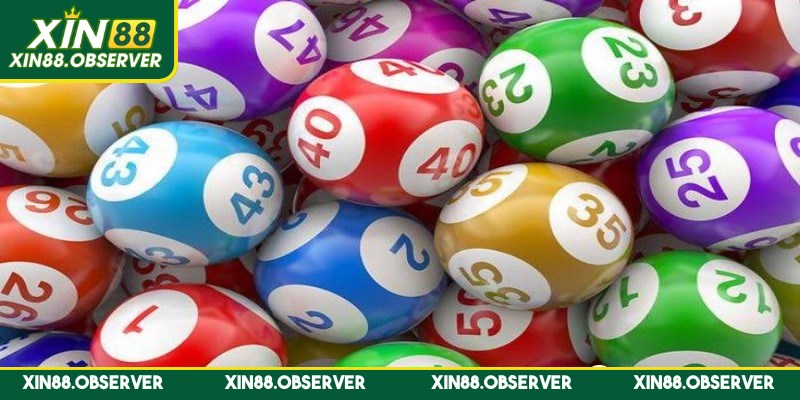 Cách nuôi song thủ lô hiệu quả cực cao